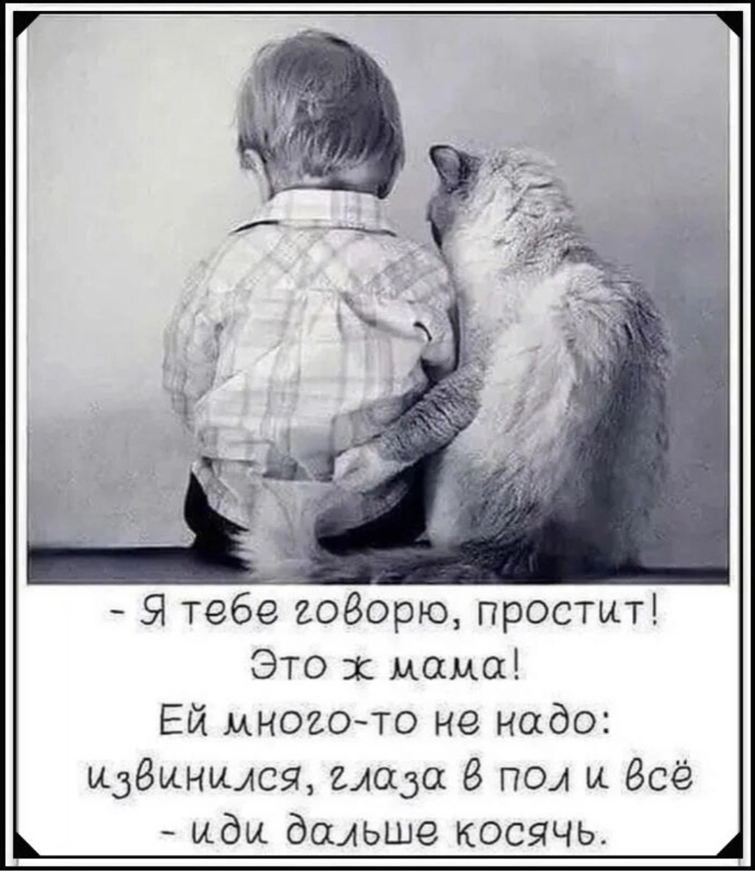Человеку нужен кот. Обнять и плакать. Поддерживать друг друга. Объятия демотиватор. Не плачь милая.