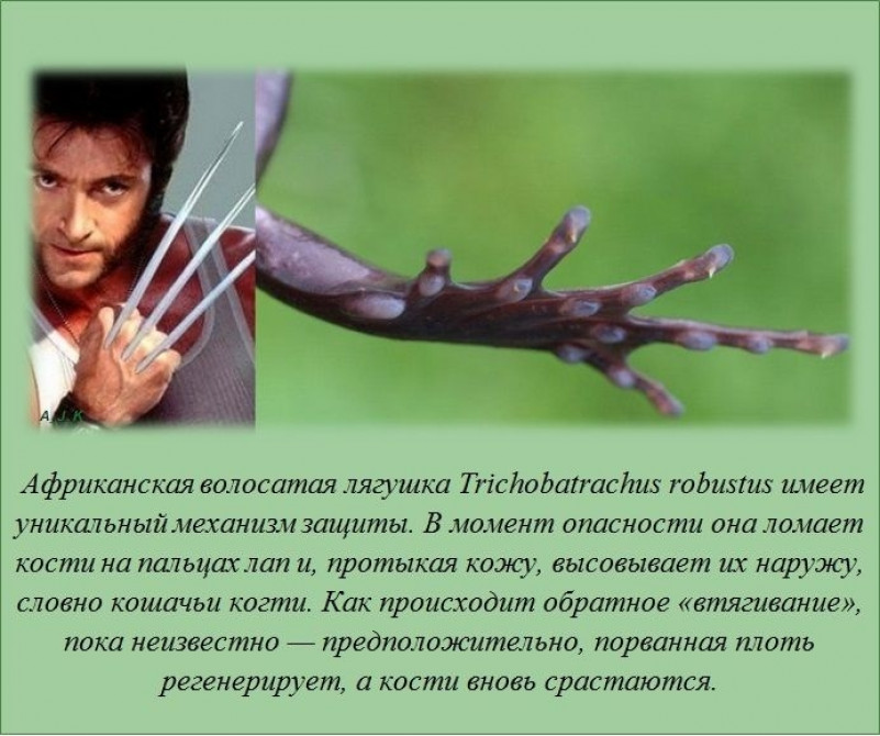 Картинки Обо Всем Интересном