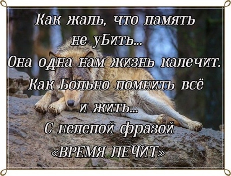 Где память есть. Как жаль что память. Стих про жаль. Как жаль что память не убить картинки. Как жаль.