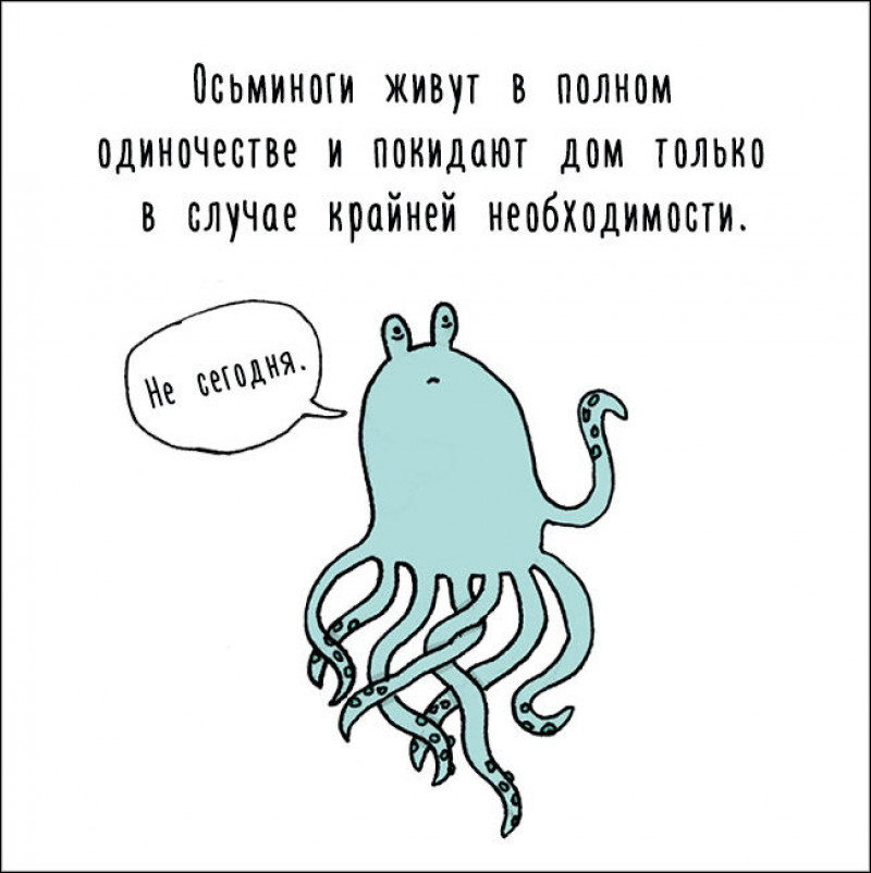 Некоторые интересные. Забавные факты. Интересные смешные факты. Смешные факты о животных. Интересные факты о животных в картинках.
